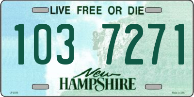 NH license plate 1037271