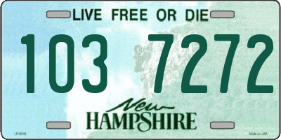 NH license plate 1037272