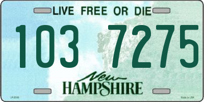 NH license plate 1037275