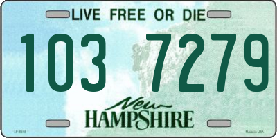 NH license plate 1037279