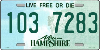 NH license plate 1037283