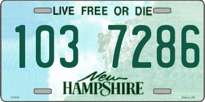 NH license plate 1037286