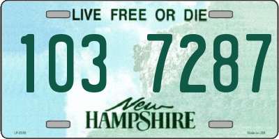 NH license plate 1037287