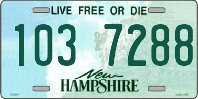 NH license plate 1037288
