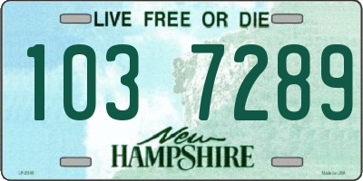 NH license plate 1037289