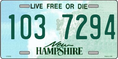 NH license plate 1037294
