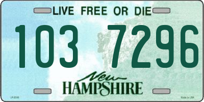 NH license plate 1037296