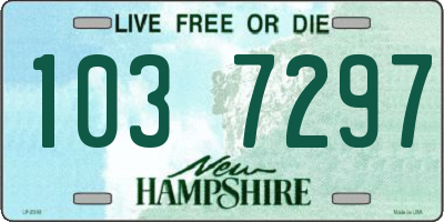 NH license plate 1037297