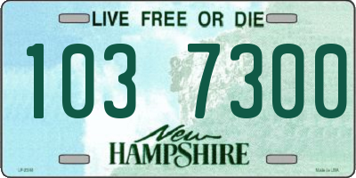 NH license plate 1037300