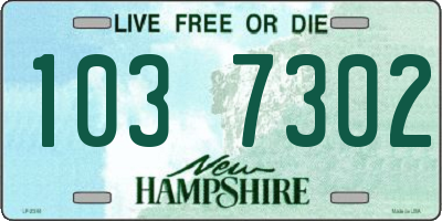 NH license plate 1037302