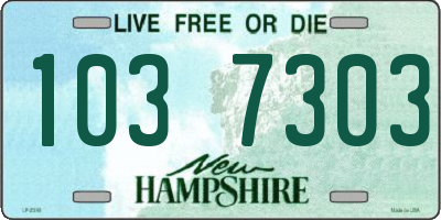 NH license plate 1037303