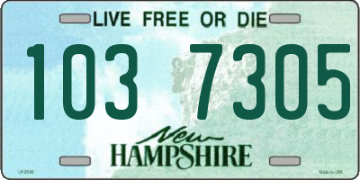 NH license plate 1037305