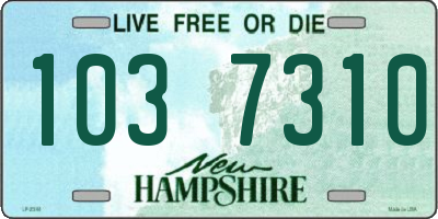 NH license plate 1037310