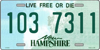 NH license plate 1037311