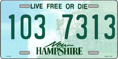 NH license plate 1037313