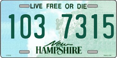 NH license plate 1037315