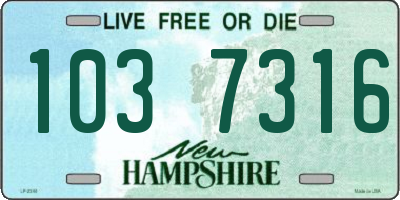 NH license plate 1037316