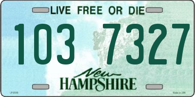 NH license plate 1037327