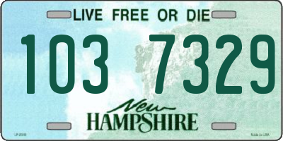 NH license plate 1037329