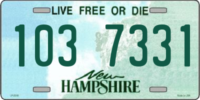 NH license plate 1037331