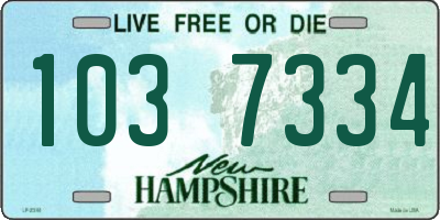 NH license plate 1037334