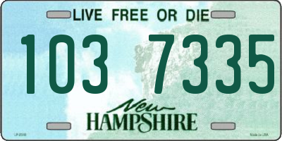NH license plate 1037335