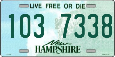 NH license plate 1037338