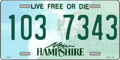 NH license plate 1037343