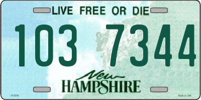 NH license plate 1037344