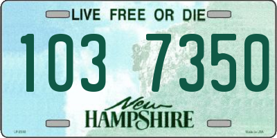 NH license plate 1037350