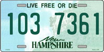 NH license plate 1037361