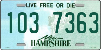 NH license plate 1037363