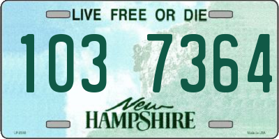NH license plate 1037364