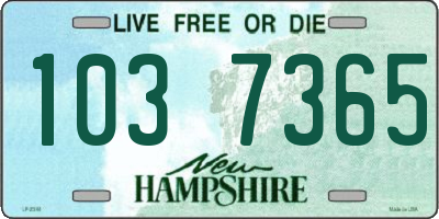 NH license plate 1037365