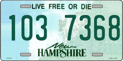 NH license plate 1037368