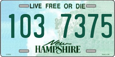 NH license plate 1037375
