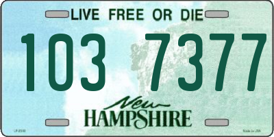 NH license plate 1037377