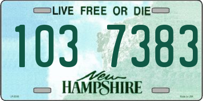 NH license plate 1037383