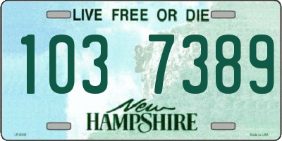 NH license plate 1037389