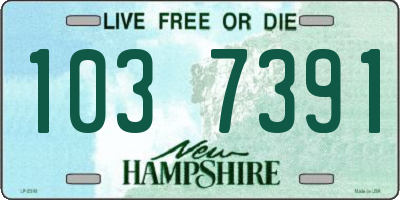 NH license plate 1037391