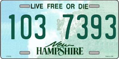 NH license plate 1037393