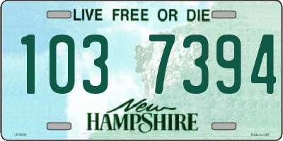 NH license plate 1037394