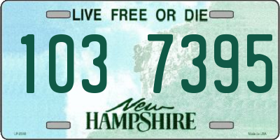 NH license plate 1037395