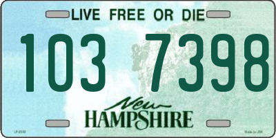NH license plate 1037398