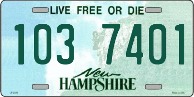 NH license plate 1037401