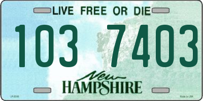 NH license plate 1037403