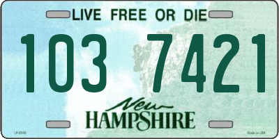 NH license plate 1037421