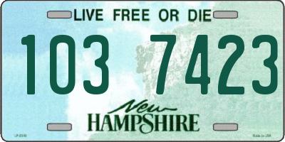 NH license plate 1037423