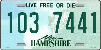 NH license plate 1037441