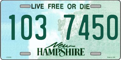 NH license plate 1037450
